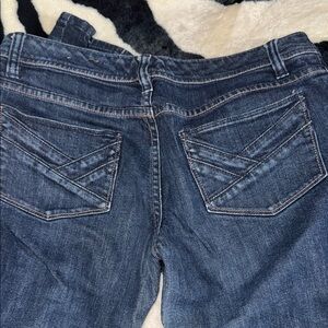 The Limited Women's Blue Jeans